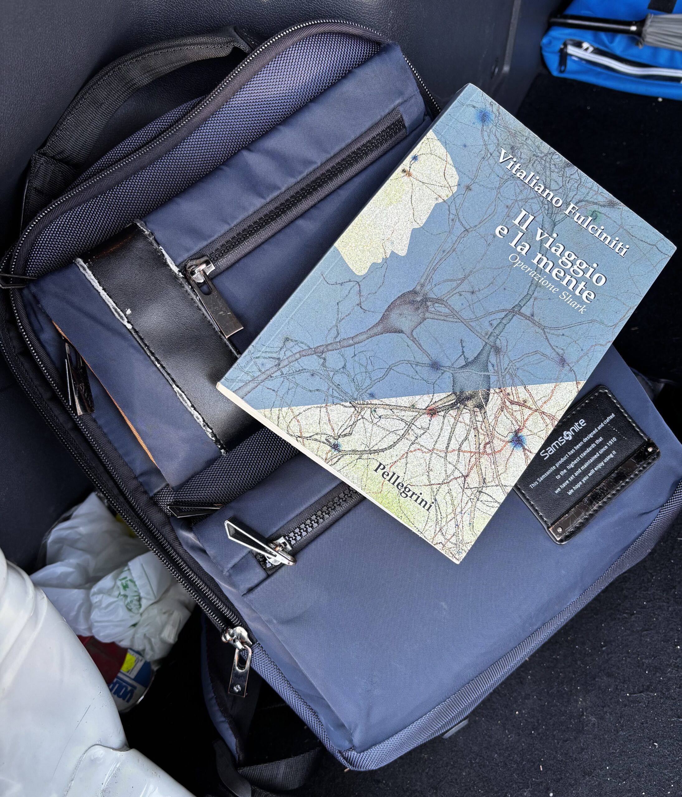 Articolo sul Quotidiano del Sud 30 marzo 2024